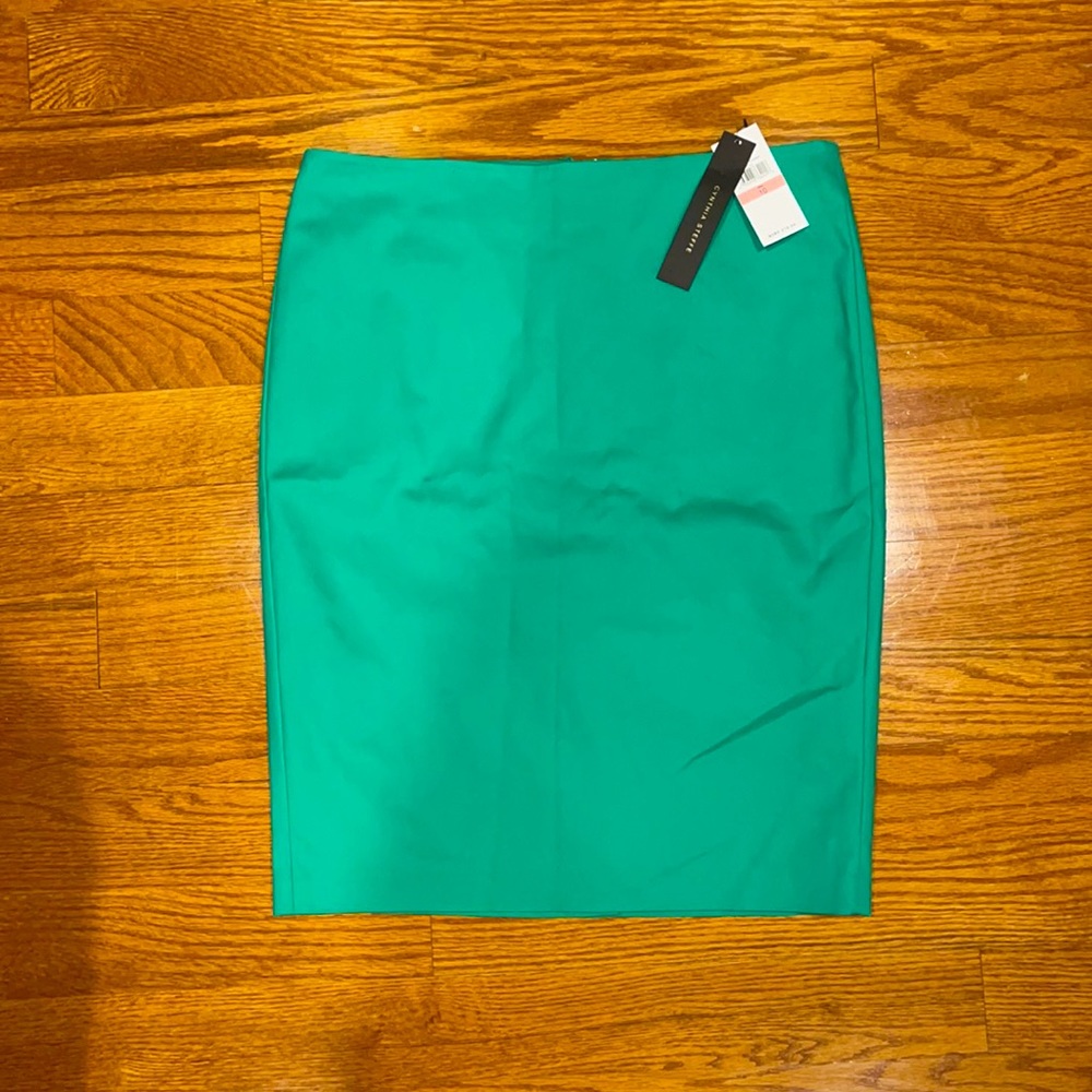 Lined Pencil Skirt